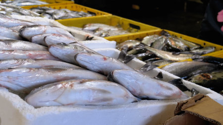Showcase with Fresh Sea Fish in Ice on the Street Market