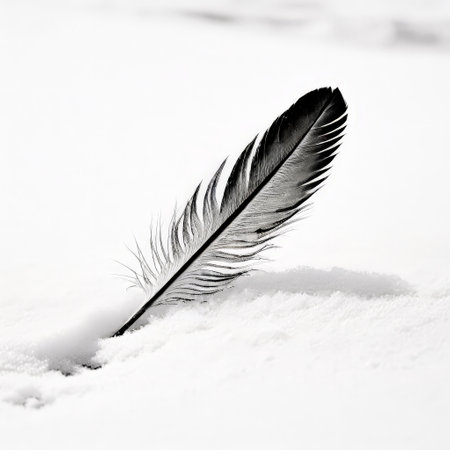 Single black feather standing upright in snowの素材