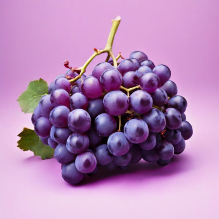 Bunch of purple grapes on pastel purple backgroundの素材