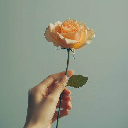 Hand holding a pale orange rose against soft pastel backgroundの素材