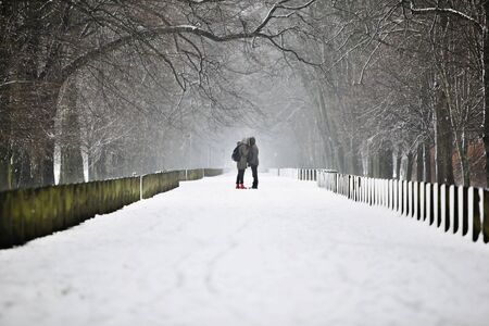 Winter Romanceの写真素材