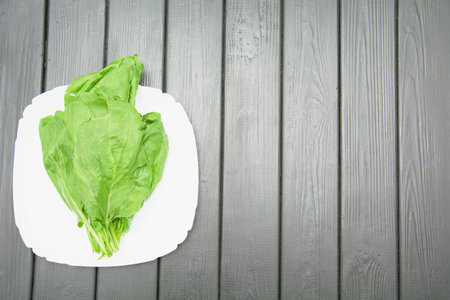 Beautiful juicy fresh fragrant bunch of delicious spinachの写真素材