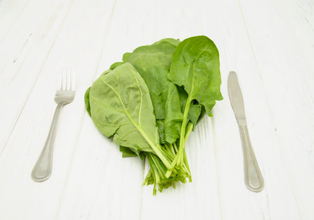 Beautiful juicy fresh fragrant bunch of delicious spinachの写真素材