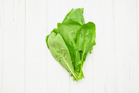 Beautiful juicy fresh fragrant bunch of delicious spinachの写真素材