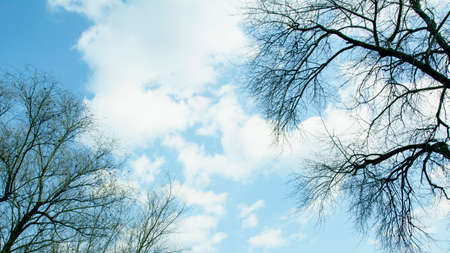 Beautiful aerial sky with big cute romantic blue clouds