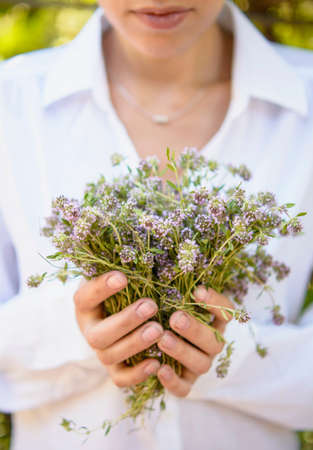 Field beautiful fresh fragrant flowers in the hands of a young girlの写真素材