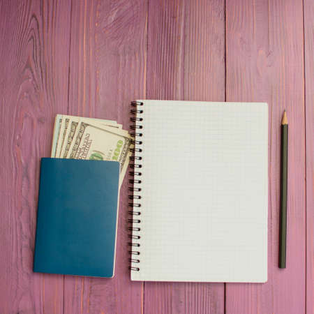 International passport and money for travel on a pink background