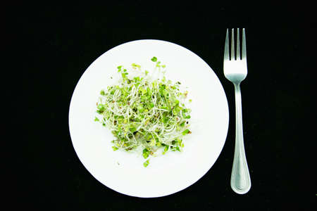 Delicious healthy fresh microgreen close upの写真素材