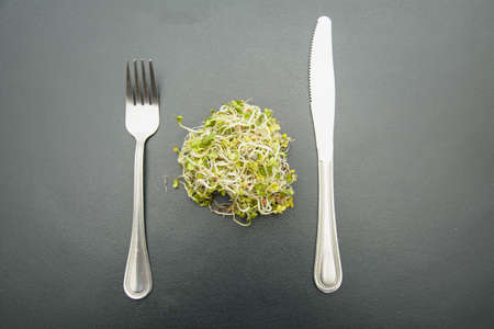 Delicious healthy fresh microgreen close upの写真素材