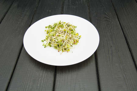 Delicious healthy fresh microgreen close upの写真素材
