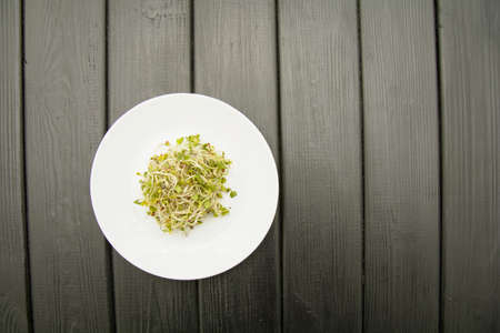 Delicious healthy fresh microgreen close up