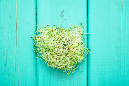 Delicious healthy fresh microgreen close upの写真素材