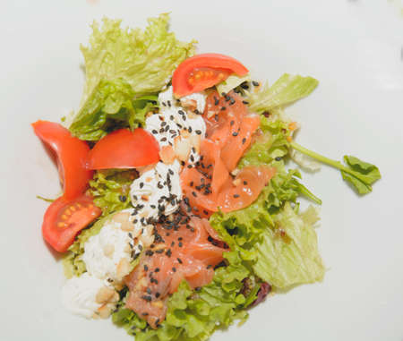 Delicious appetizing restaurant food on tables in platesの写真素材