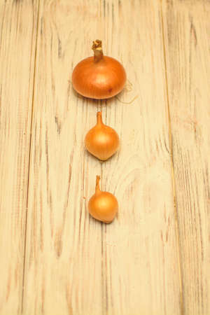 Delicious juicy spicy onion close upの写真素材