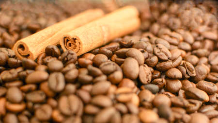 Background of beautiful delicious coffee beansの写真素材