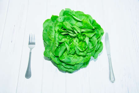 Fresh salad greens on a light backgroundの写真素材