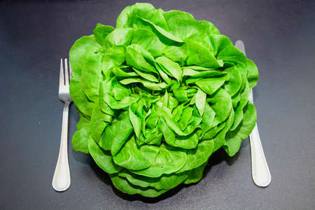 Fresh salad greens on a light backgroundの写真素材