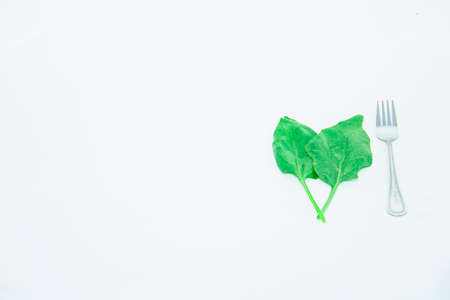 Fresh greens of spinach on a light backgroundの写真素材