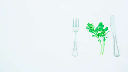 Fresh green arugula on light backgroundの写真素材