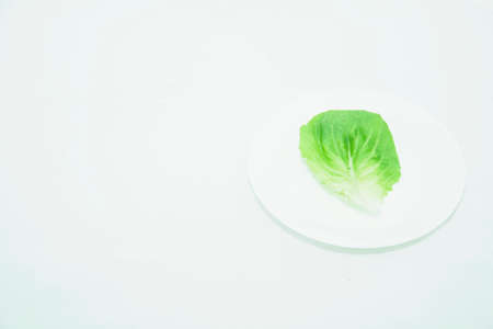 Beautiful leaf of fresh salad on a light backgroundの写真素材