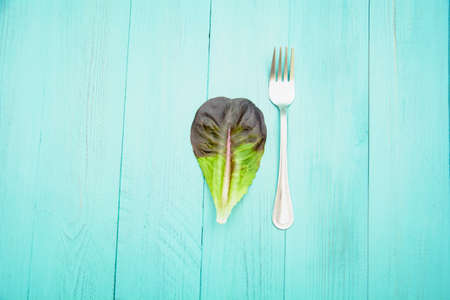 Beautiful leaf of fresh salad on a light backgroundの写真素材