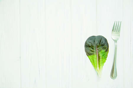 Green fresh lettuce leaves on light backgroundの写真素材
