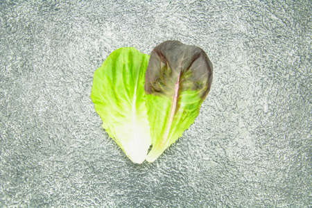 Green fresh lettuce leaves on light backgroundの写真素材