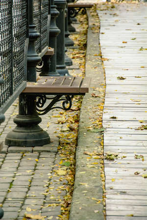 Autumn beautiful background of yellow leaves in the parkの写真素材