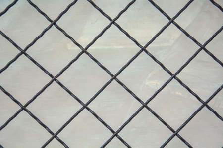 Beautiful autumn background through a metal cage
