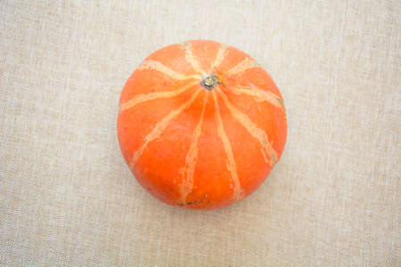 Beautiful juicy ripe fresh delicious pumpkinの写真素材