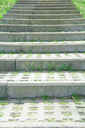 Beautiful concrete large new steps in a beautiful parkの写真素材