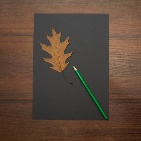 Black sheet of paper with pencil and autumn leaf on wooden background.の写真素材