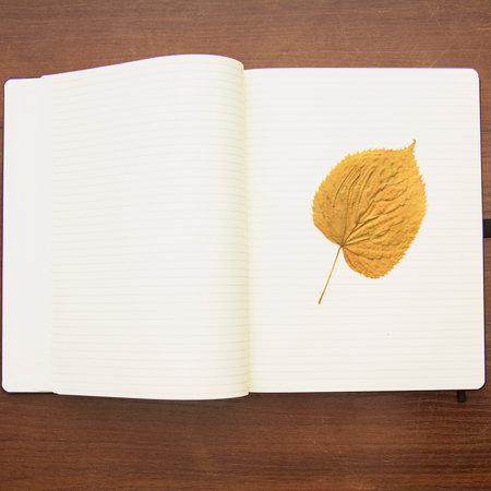 notebook with autumn leaf on wooden background - soft focus with vintage film filter