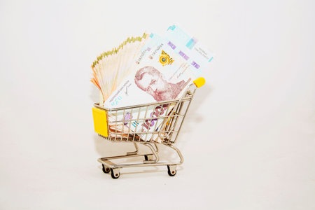 Shopping cart with banknotes on a white background, close-up