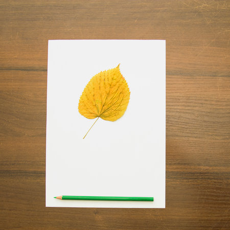 A sheet of white paper with a pencil and a yellow leaf on a wooden backgroundの写真素材