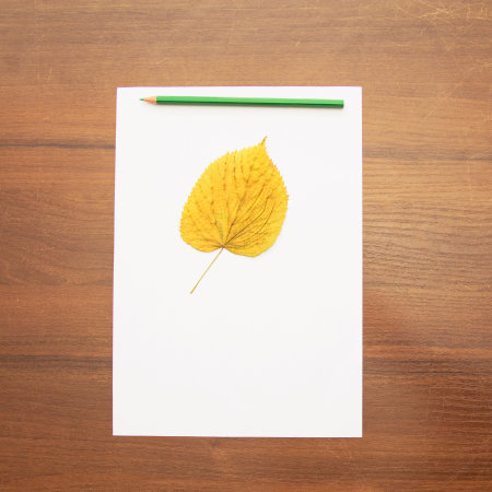 White sheet of paper with yellow autumn leaf and pencil on wooden backgroundの写真素材