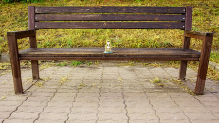 Wooden bench in the park on a background of green grass.の写真素材
