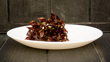 Fresh red lettuce leaves on a white plate on a black wooden backgroundの写真素材