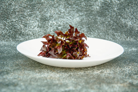 Plate of fresh red oak leaf salad on gray stone background.の写真素材
