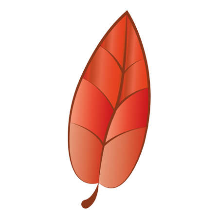 Dry autumn leaf. Autumn season - Vector illustrationのイラスト素材