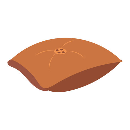 Isolated brown pillow with no feathers Vectorのイラスト素材