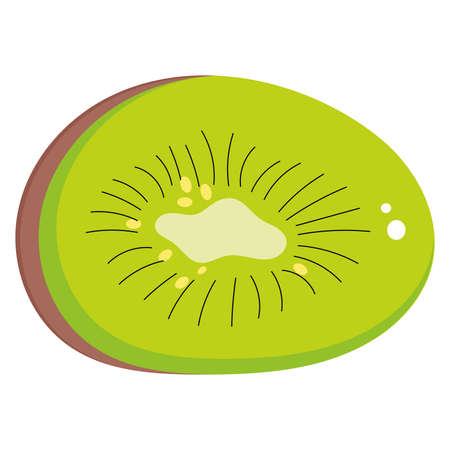 Isolated colored kiwi icon Cute design Vectorのイラスト素材