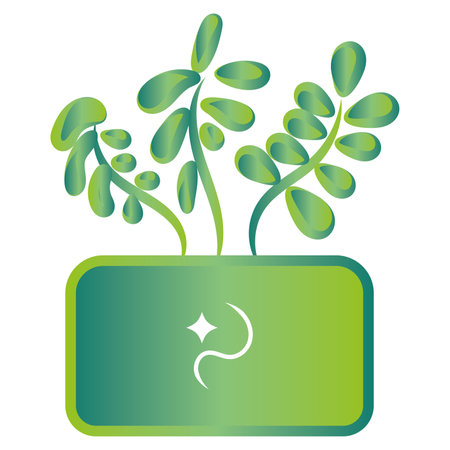 Isolated green indoor plant icon Vectorのイラスト素材