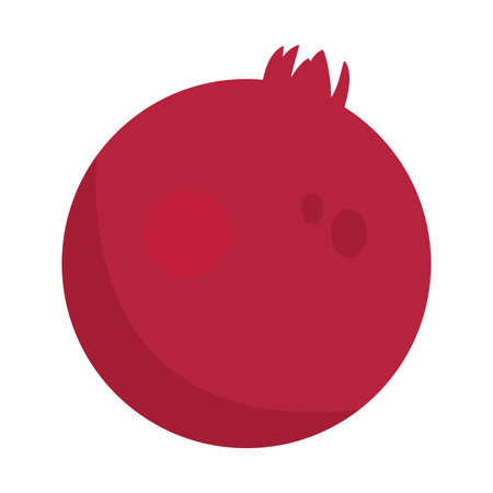 Isolated colored pomegranate fruit icon Vectorのイラスト素材