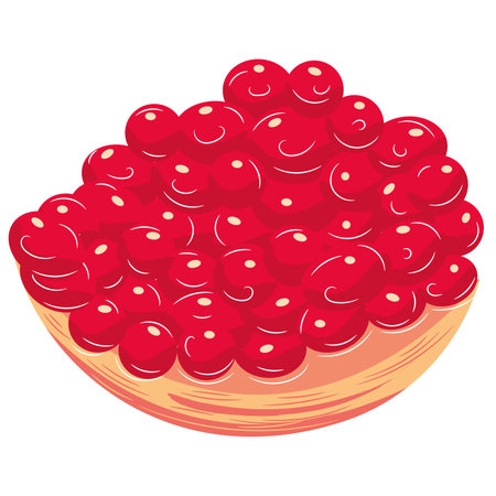 Isolated cut pomegranate fruit with seeds Vectorのイラスト素材