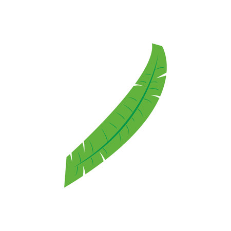 Isolated colored summer leaf sketch icon Vectorのイラスト素材