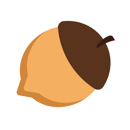 Acorn with brown cap and tan body. Vectorのイラスト素材