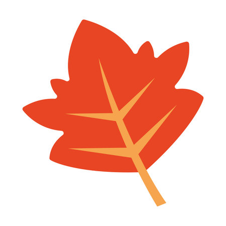 Orange autumn maple leaf. Vectorのイラスト素材