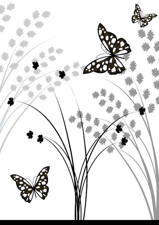 Butterflies vector image.のイラスト素材