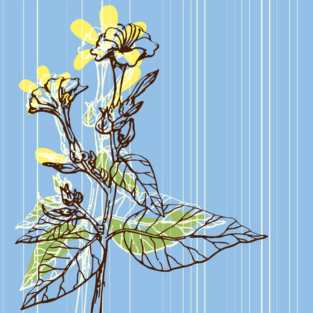 Vector image of vintage background flowers drawingのイラスト素材